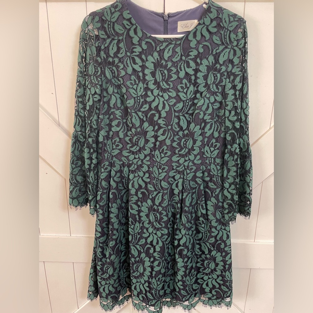 Eliza J lace Fit and Flare Dress